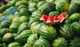 不喜欢吃瓜,拥抱简单生活