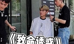 正宗吃瓜群众视频,视频中的趣味与真相