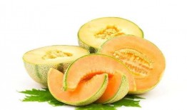 吃块哈密瓜,一尝哈密瓜，尽享瓜果飘香