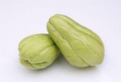 吃中药能吃佛手瓜,佛手瓜助力健康生活