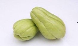 吃中药能吃佛手瓜,佛手瓜助力健康生活