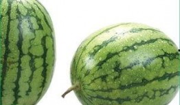 吃洋瓜会过敏吗