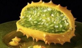 喝中药吃角瓜,喝中药巧搭角瓜，健康生活新体验