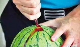 打针吃瓜,趣味医疗生活瞬间