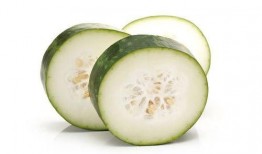 今日校园吃瓜,吃瓜群众热议校园新鲜事