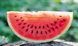 崔晓彤吃瓜,揭秘娱乐圈幕后真相