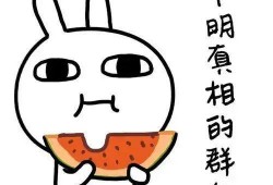 不喜欢吃瓜,拥抱简单生活