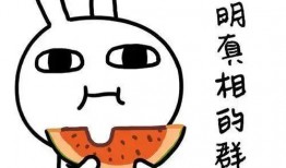 不喜欢吃瓜,拥抱简单生活