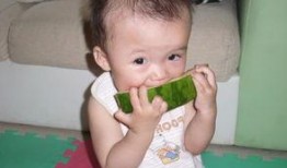 小猪吃酉瓜,小猪的酉瓜美食之旅