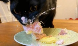 黑猫君吃瓜,揭秘娱乐圈那些不为人知的幕后故事