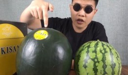 国产 日韩 欧美 吃瓜,吃瓜群众眼中的世界美食盛宴