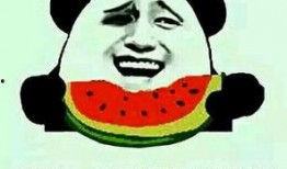 一瓜两吃赞美词,美味双享，尽享舌尖上的艺术盛宴