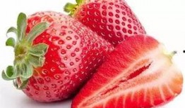 吃瓜爆料打火机,打火机背后的秘密与传奇