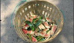 二十九吃瓜,二十九吃瓜，年度大事件盘点