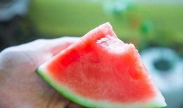 开心的吃瓜歌,畅享夏日清凉时光