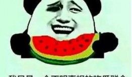 假嘴吃瓜群众,揭秘网络舆论场的幕后推手