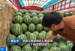 路雪吃瓜网,揭秘娱乐圈幕后故事，带你领略明星真实生活