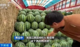 路雪吃瓜网,揭秘娱乐圈幕后故事，带你领略明星真实生活