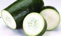 51吃瓜热门吃瓜