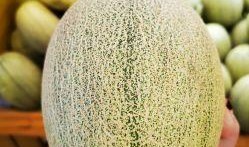 蜜瓜配馕吃,夏日清爽美食新体验