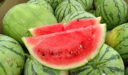 今日校园吃瓜,吃瓜群众热议校园新鲜事