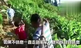叶女士吃瓜视频,揭秘娱乐圈幕后故事