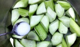 吃瓜美容虫子,吃瓜美容虫子的神奇功效与护肤奥秘