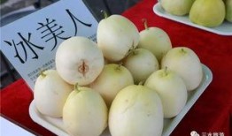 减肥吃雪梨瓜,清爽口感，健康瘦身新选择