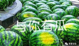 吃瓜哪个学校,“揭秘‘吃瓜现象背后的高校风云录”