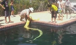 游泳队员吃瓜,吃瓜趣事成焦点