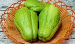 吃中药能吃佛手瓜,佛手瓜助力健康生活