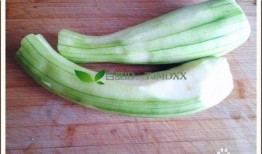 瓜蛋子炒菜谁吃,共享美味，增进家庭和谐