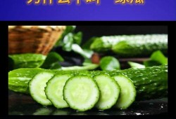 吃瓜科普知识,从瓜果种类到健康益处