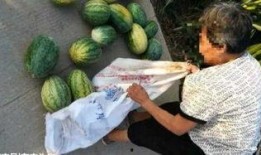 体院天桥最新吃瓜,最新吃瓜事件揭秘