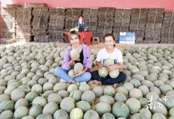 新疆吃古瓜,千年传承的甜蜜记忆