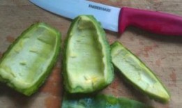 佛山吃凉瓜,凉瓜美食之旅