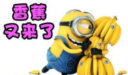 搞笑吃瓜游戏视频,笑料百出！搞笑吃瓜游戏视频大盘点