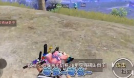 歪瓜外服吃鸡,畅游虚拟战场，体验极限竞技魅力