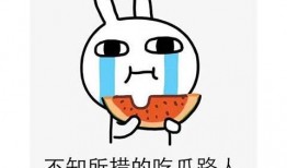 二十九吃瓜,二十九吃瓜，年度大事件盘点