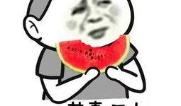 吃瓜吃饼群众表情图,揭秘吃饼群众的喜怒哀乐