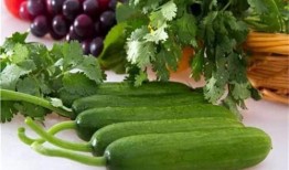 吃瓜少女想致富,揭秘娱乐圈背后的财富秘密