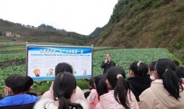 最近古蔺吃瓜新闻