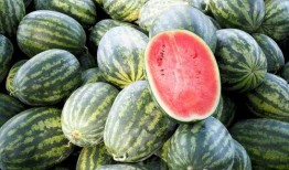 全恩施都在吃的瓜,全城共赏的甜蜜诱惑