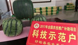 观音寺吃瓜,探寻古寺里的夏日美味