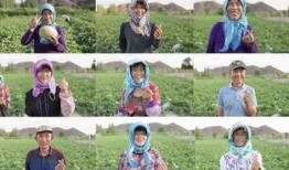 吃瓜返乡,揭秘乡村里的新鲜趣事与变迁