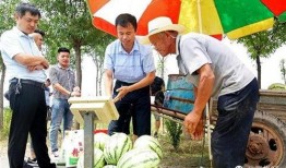 莒县刘官庄吃瓜事件,一场引发热议的乡村奇闻