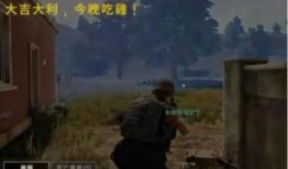 吃鸡不吃瓜,专注战斗，不沾瓜界风云