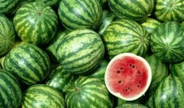 林轩吃瓜的人,吃瓜人生，品味人间烟火