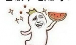 吃瓜群众长发视频,一场视觉盛宴与情感共鸣的碰撞