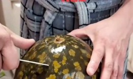 扶手瓜咋样腌着吃,家常美味新体验